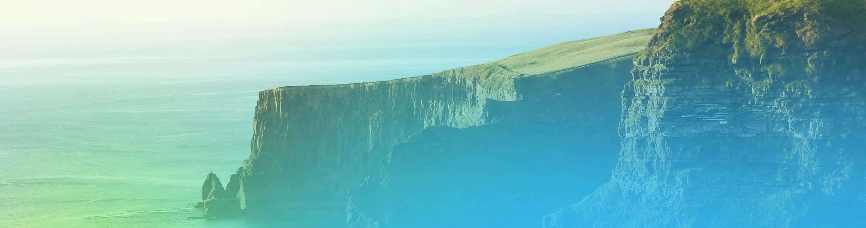 Online Business for Sale Northern Ireland