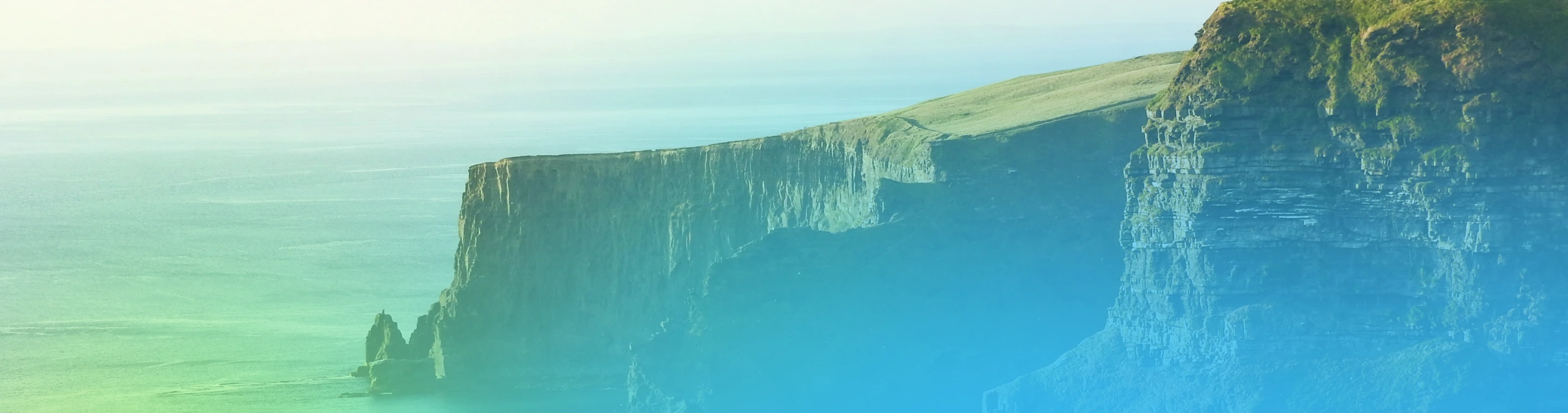 Listing Background
